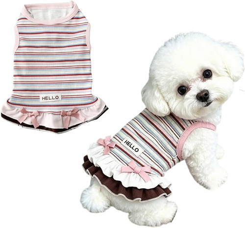 Simpatico vestito per cani - simpatico,