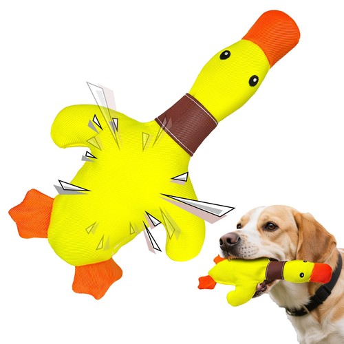 Giochi cane resistenti per - cane,