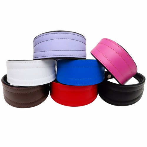 Collare vera pelle per cani - collare,