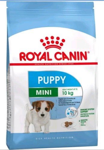 Mini puppy royal - mini,