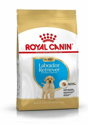 Crocchette per cani royal - cani,