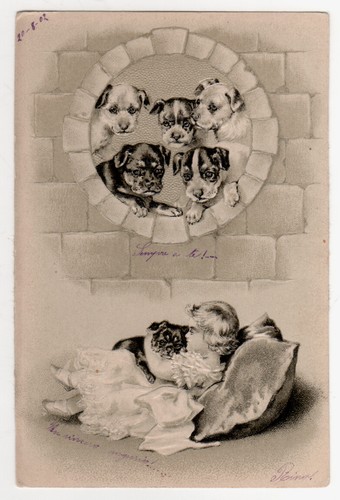 Cartolina bambina cani - cartolina,