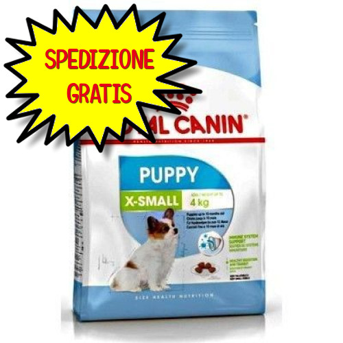 Royal canin cane - cane, small