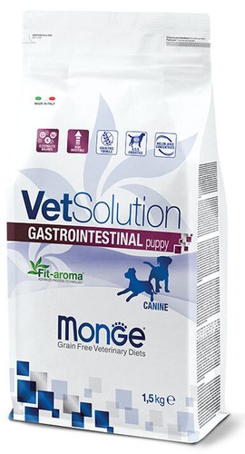 Canine gastrointestinal puppy - canine,