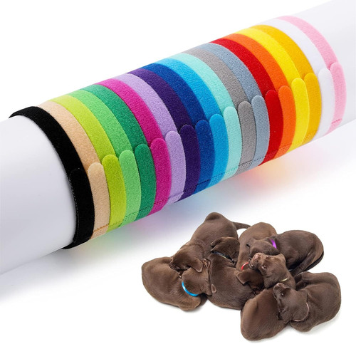 Pezzi collari per cuccioli - pezzi,